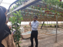 شرکت دانشجویان انجمن گیاهان دارویی در برنامه کشت هیدروپونیک توت فرنگی در دانشکده کشاورزی دماوند