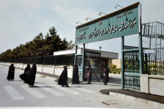 گالری تصاویر