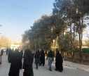 پیادهروی گروهی به مناسبت هفته تربیت بدنی در محوطه دانشکده