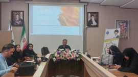 برگزاری کارگاه مداخلات اولیه روانشناختی در جامعه دانشجویان