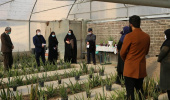 بازدید روسای کمیته امداد امام خمینی منطقه ۲ و ۵، از گلخانه ی دانشکده شریعتی
